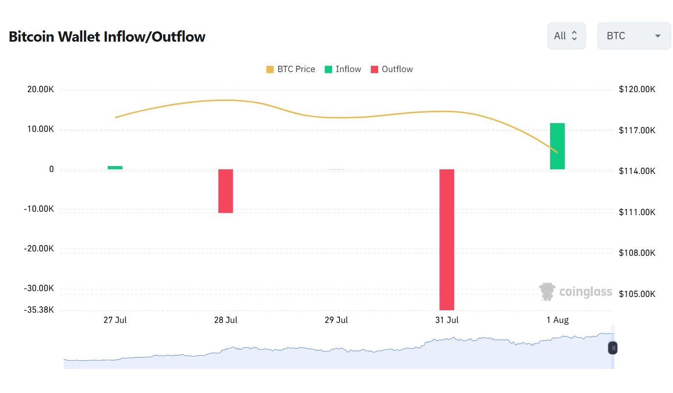 btc 31.07. (2).jpg