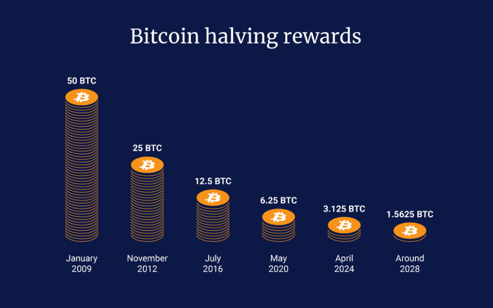 btc halving rewards.png